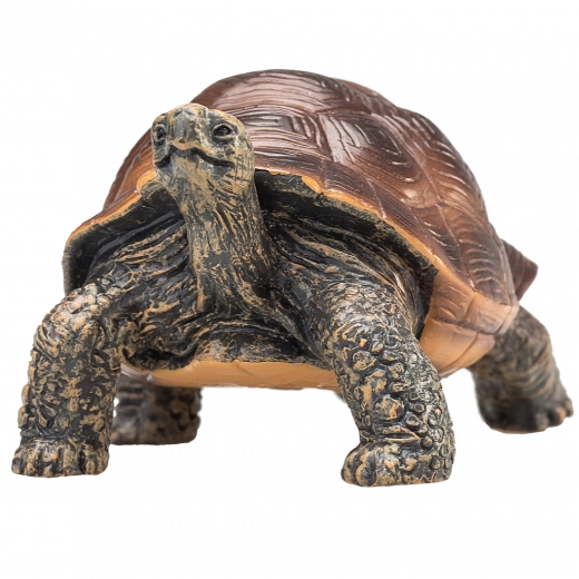 Naturtro detaljer og naturlig farvetone