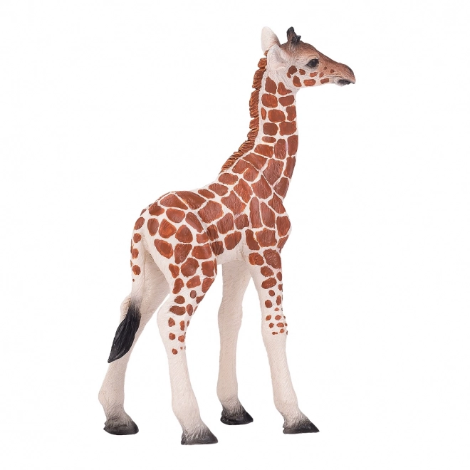 Mojo girafunge