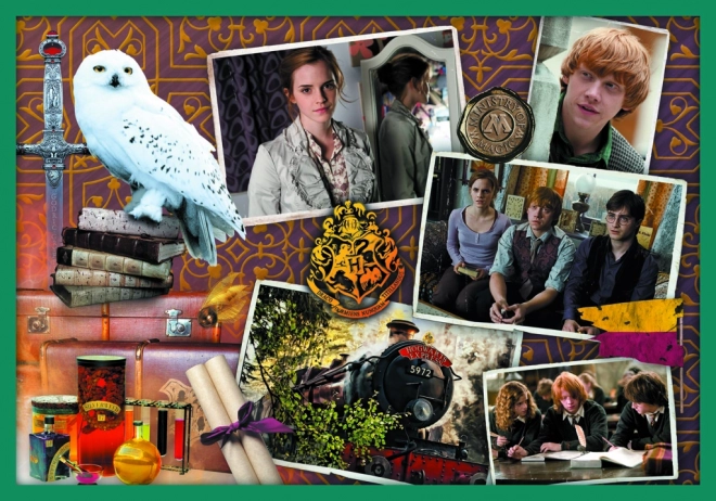 Puslespil Harry Potter - I Harry Potters Verden 10i1