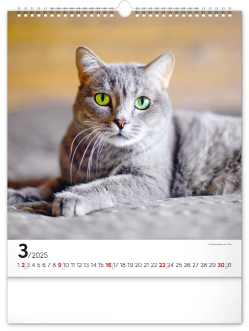 Vægkalender Katte 2025, 30 × 34 cm