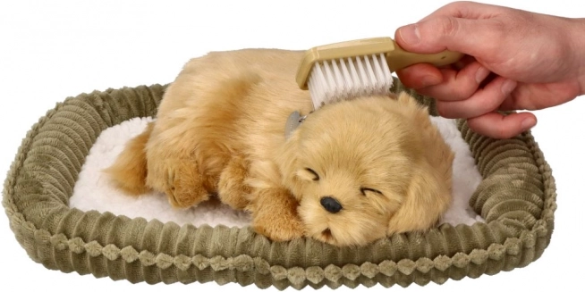 Adoptér en åndende Golden Retriever-hvalp