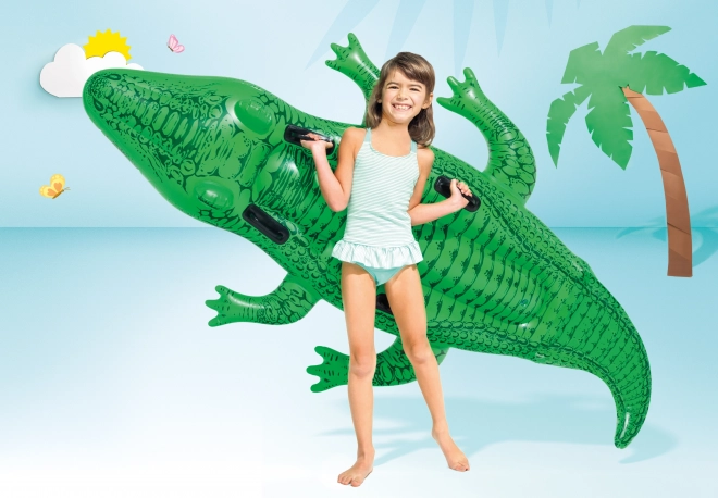 Vandkf8retf8j Alligator