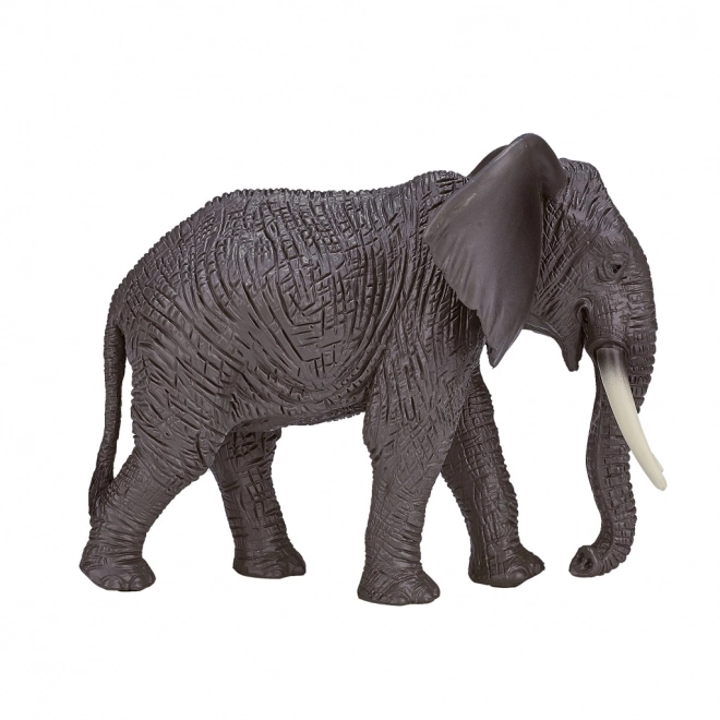 Mojo Afrikansk Elefant