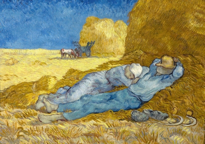 Puslespil Siesta efter MILLET, 1000 brikker