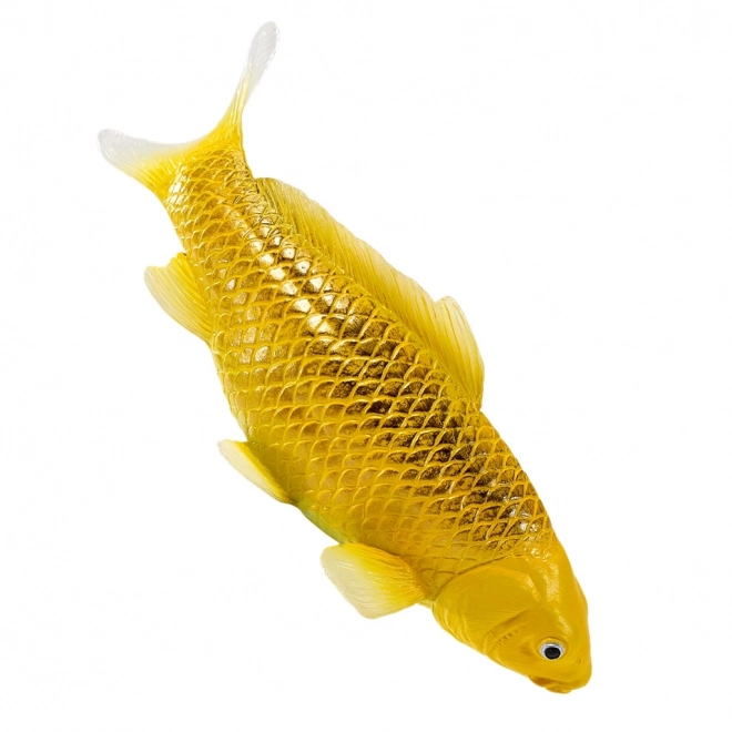 Mojo karpe koi Matsuba