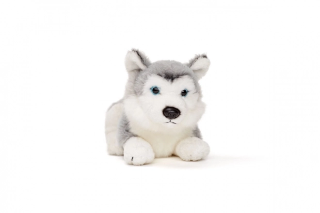Plys husky 15 cm