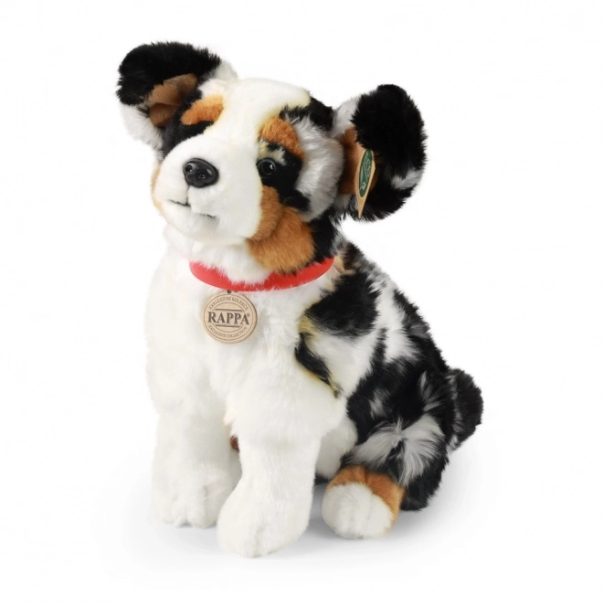 Plys hund australsk hyrdehund 30 cm MILJØVENLIG