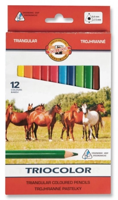 KOH-I-NOOR Trekantede farveblyanter Triocolor 12 stk