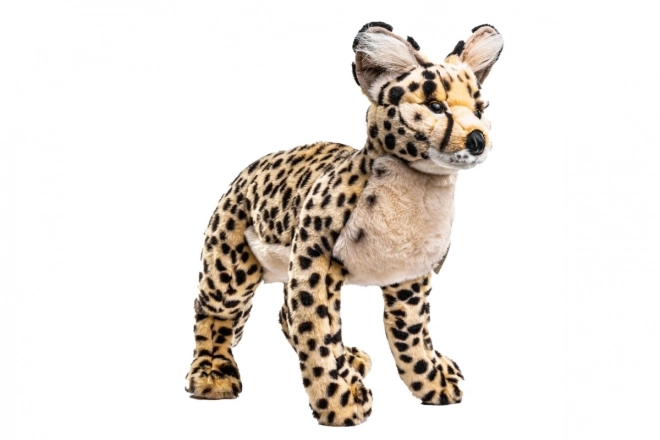 Plysjagtkat 50 cm