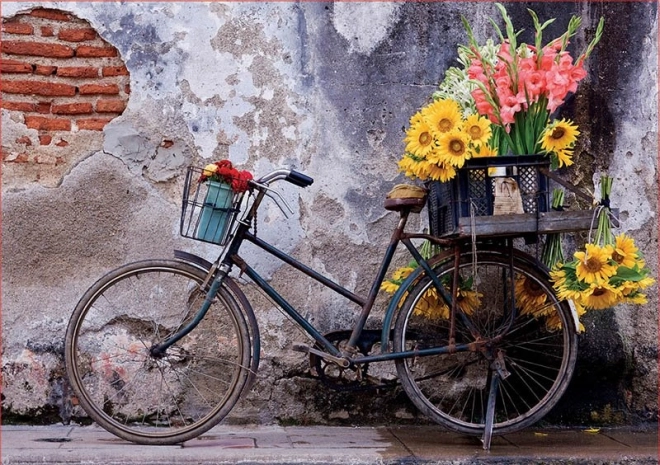 Educa puslespil cykel med blomster 500 brikker