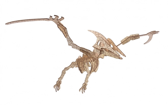 Woodcraft Træ 3D puslespil Pterosaur