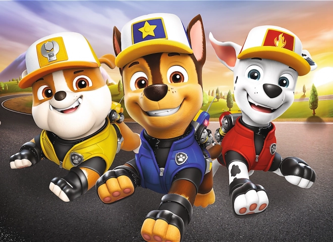 Puzzle Paw Patrol miniMAXI 20 brikker