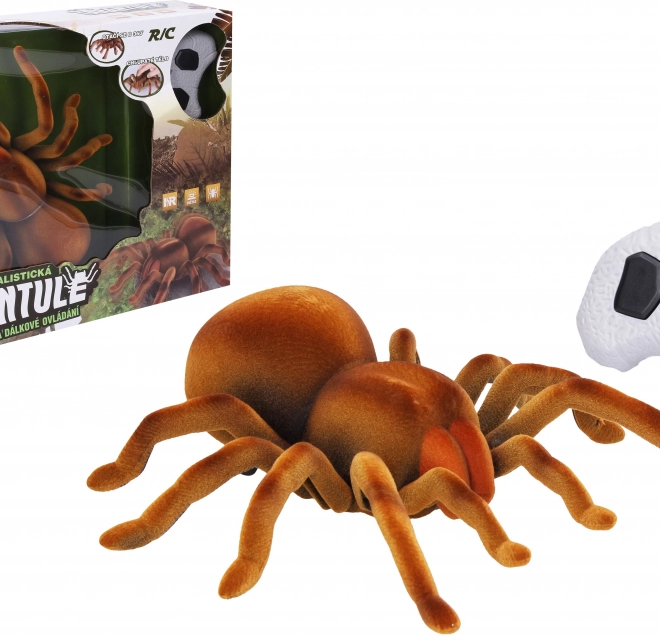 Fjernstyret Tarantula 24 cm