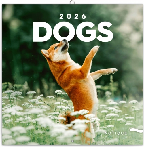 Noteskalender Hunde 2026