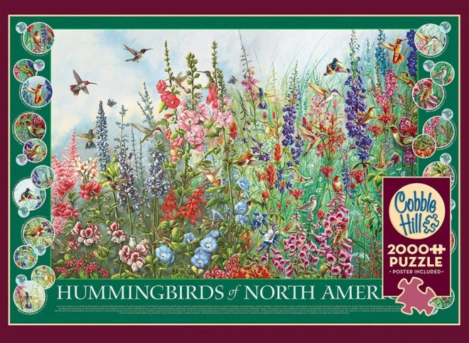 Puslespil Kolibrier Nordamerika 2000 brikker fra Cobble Hill