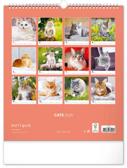 Vægkalender Katte 2025, 30 × 34 cm