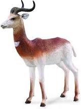 Collecta vandrealbatros – realistisk figur
