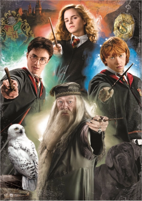 EDUCA Puslespil Harry Potter 500 brikker