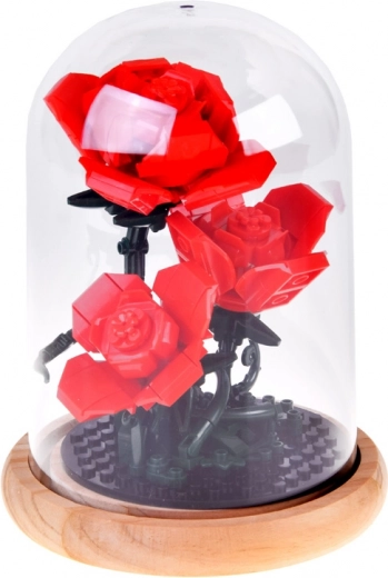 Stabil kuppel med træfod