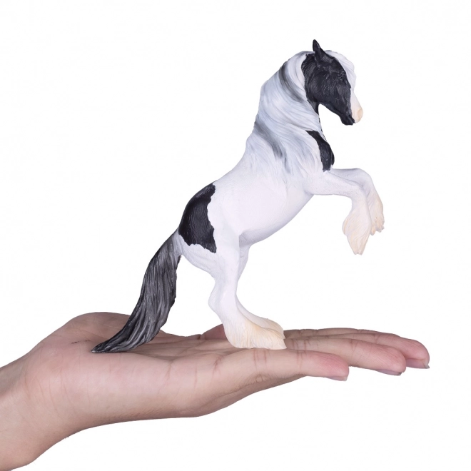 Mojo Hingst Gypsy Vanner