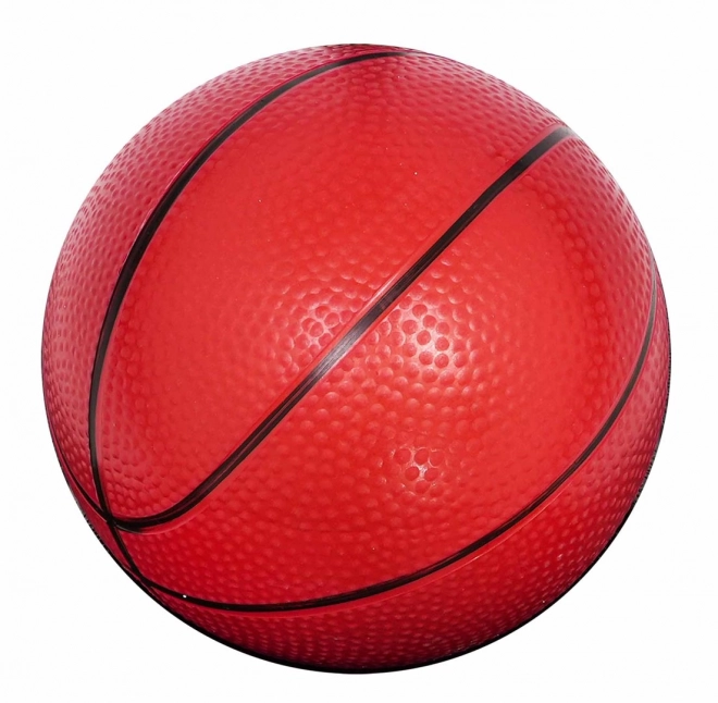 Basketball bold 205cm + tilbehør
