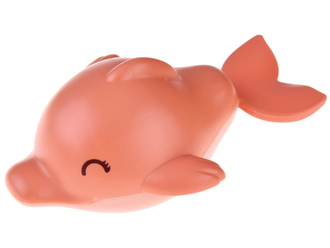 Delfin til glædelig badning