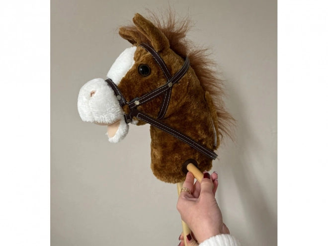 Hobbyhest på stang