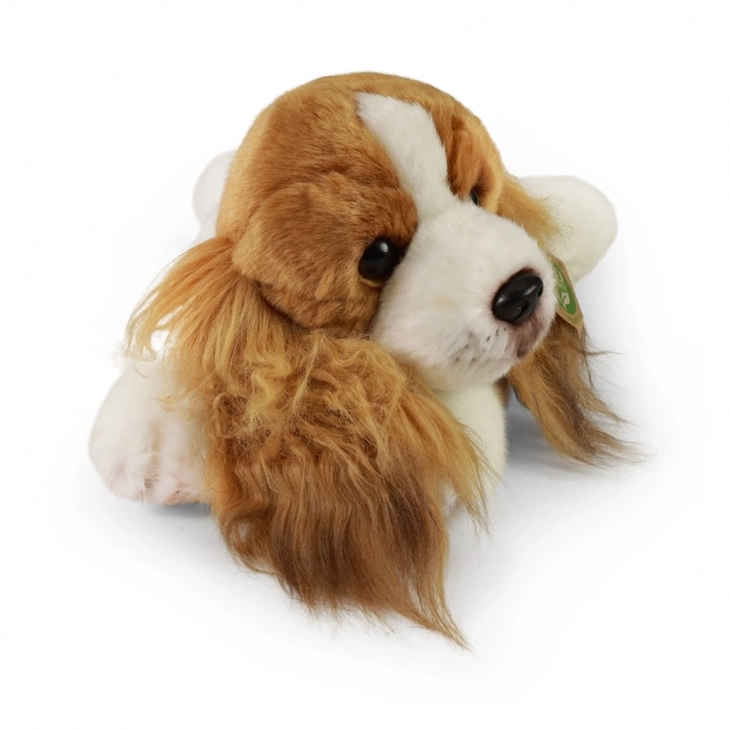 Rappa Plys Hund Cocker Spaniel liggende 30 cm MILJØVENLIG