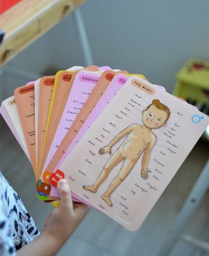 Læring på 11 sprog