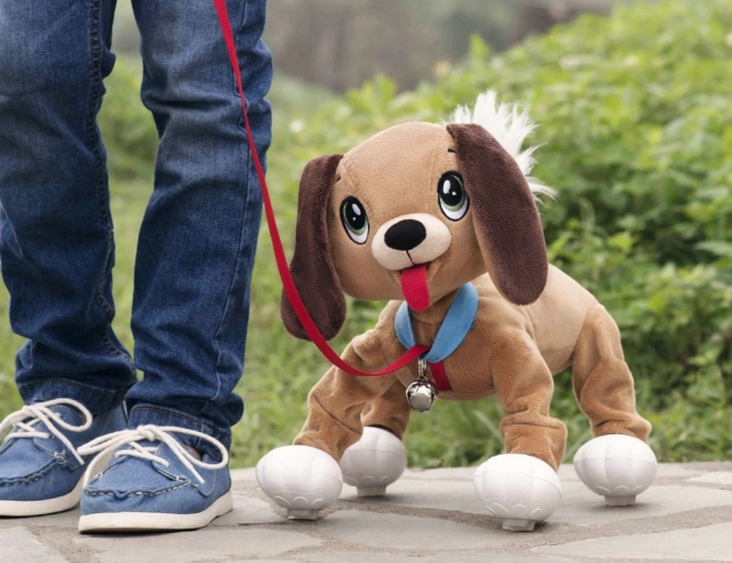 Hunden Floppy