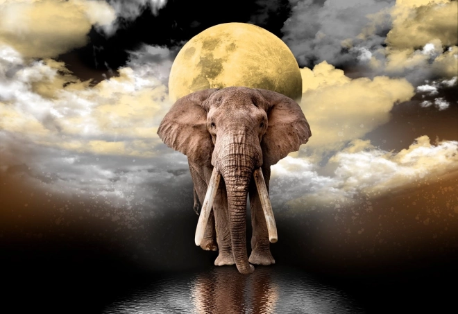 Træpuslespil Elephant Dreams 2i1