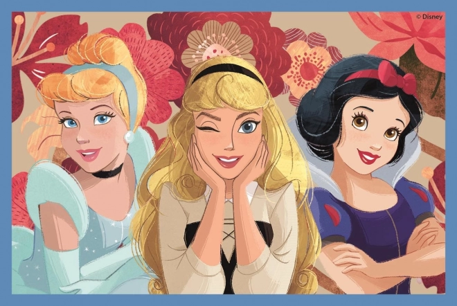 CLEMENTONI Billedklodser Disney Prinsesser, 6 klodser