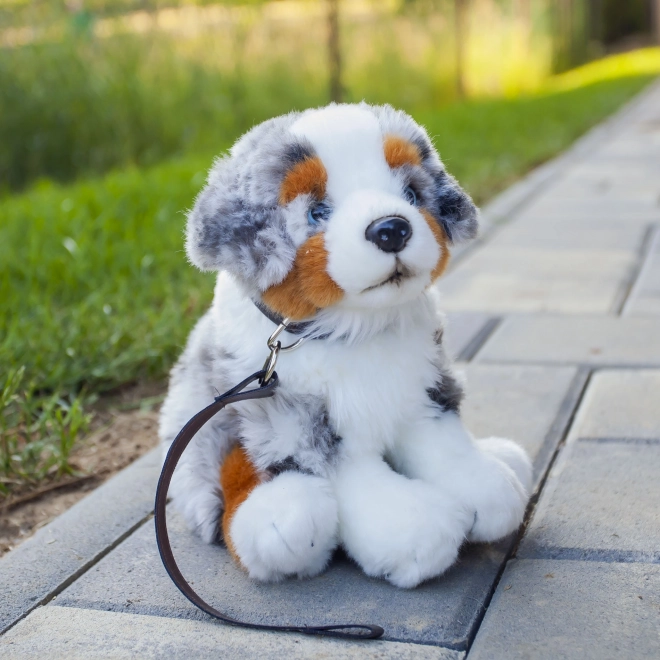 Plys Hund Australsk Fårehund Miljøvenlig siddende 27 cm