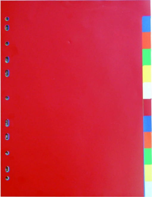 Dokumentopdeler A4 2x6 farver