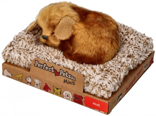 Lille hund Perfect Petzzz