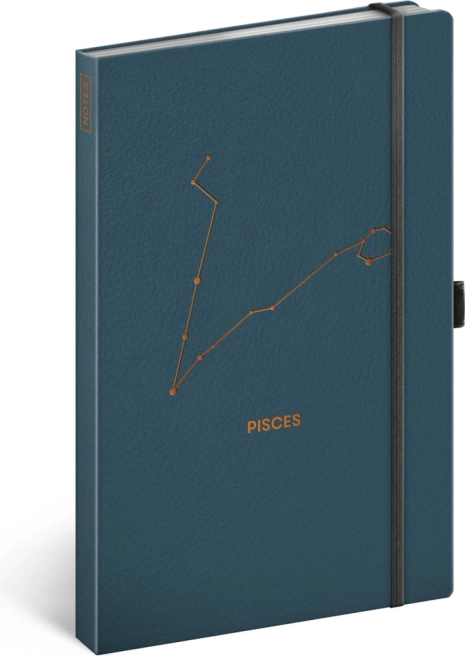 Notique linjeret notesbog Fiskene 13 × 21 cm
