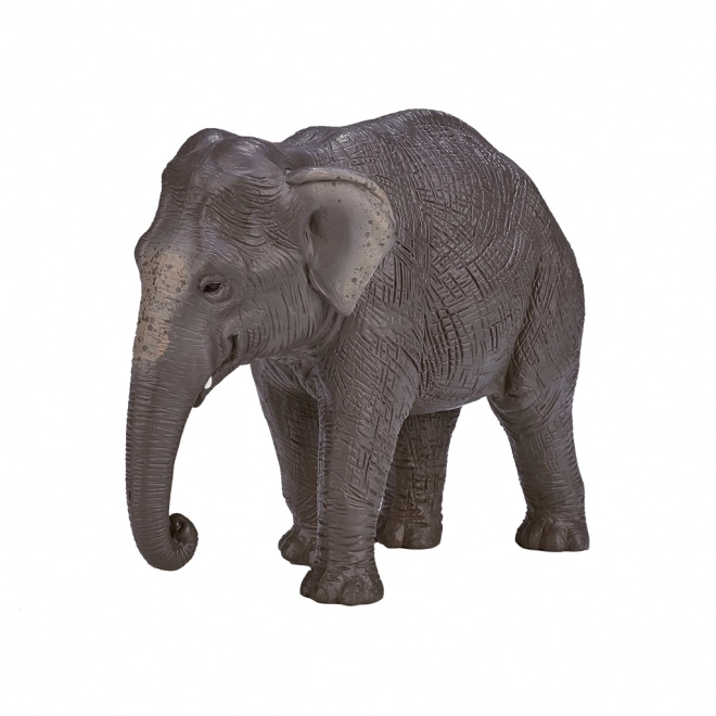 Mojo Indisk Elefant