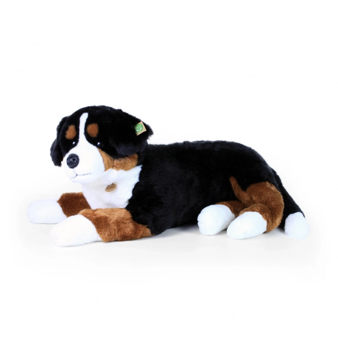 Stor plysbamse af Bernese bjerghund liggende 89 cm ØKO-VENLIG