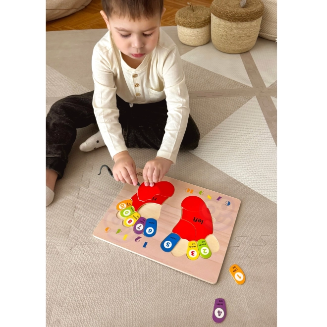 Tooky Toy træpædagogisk puslespil fødder til læring af tælling og farver