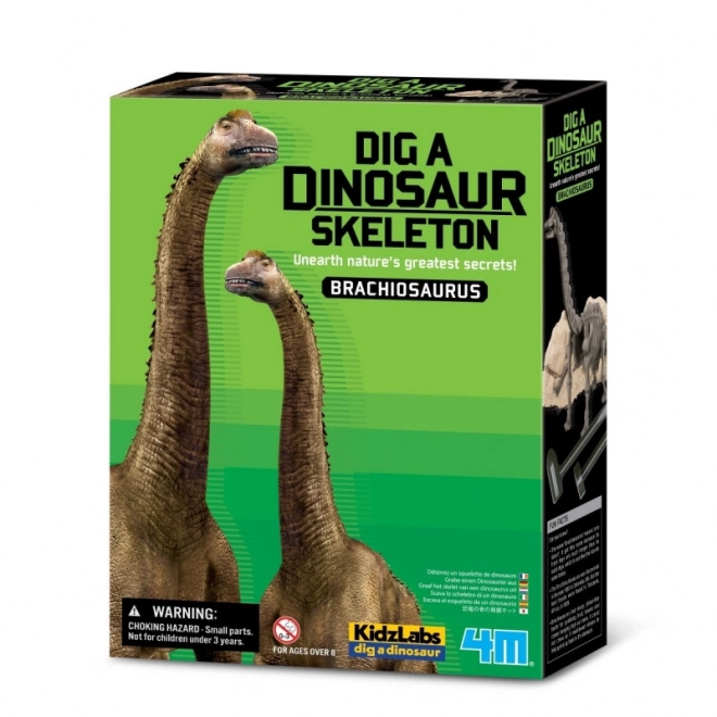 Videnskabeligt sæt til udgravning - Brachiosaurus