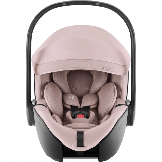 Barnevogn Smile 5Z med dyb klapvogn og autostol Baby-Safe Pro Style, Støvet Rose