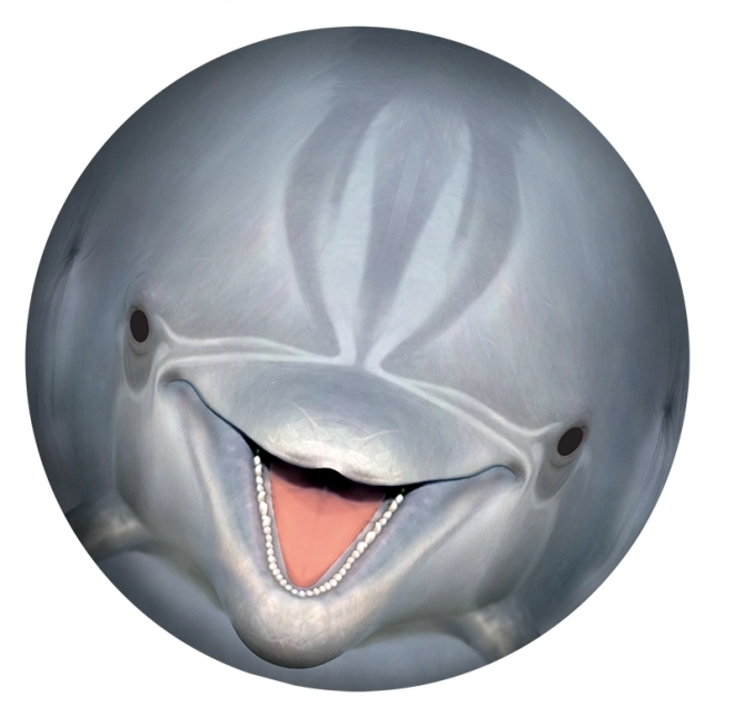 SPORTO Underwater Bold - Delfin