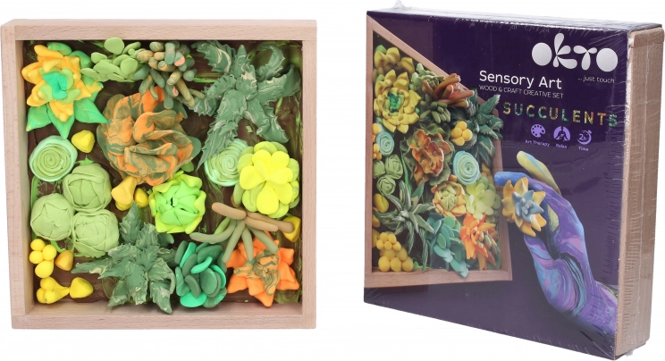 Kreativt modelleringssæt med sukkulenter i træramme 21 × 21 cm