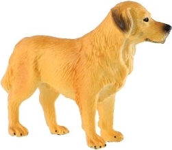 Kompakt størrelse 10 cm