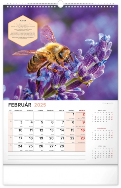 NOTIQUE Vægkalender for Biavl 2025, 33 x 46 cm