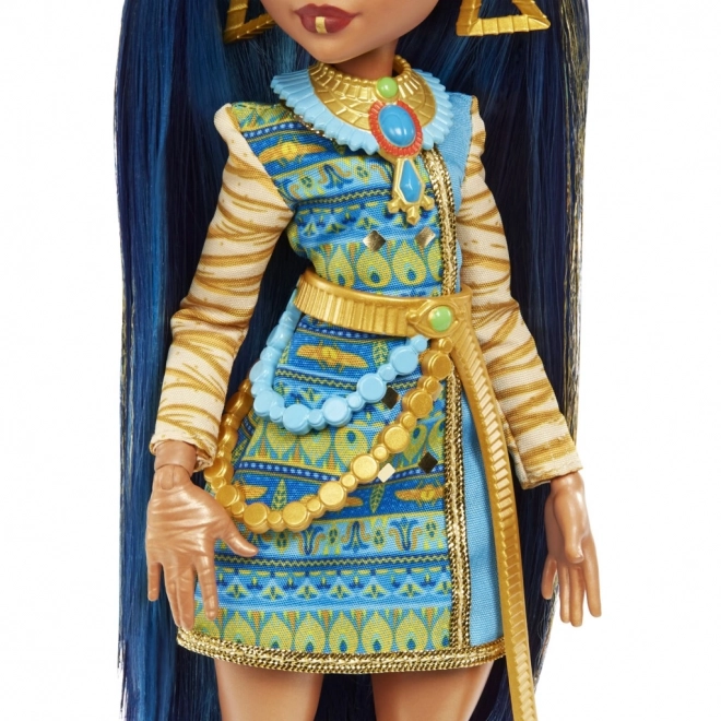 Monster High dukke med tilbehør