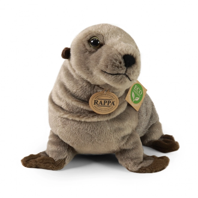 Rappa plys sæl Eco Friendly