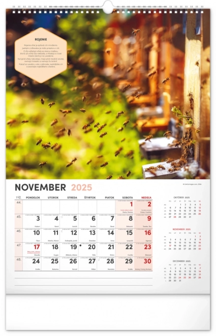 NOTIQUE Vægkalender for Biavl 2025, 33 x 46 cm