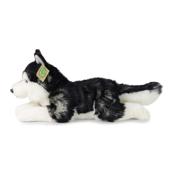 Plys hund husky 36 cm MILJØVENLIG