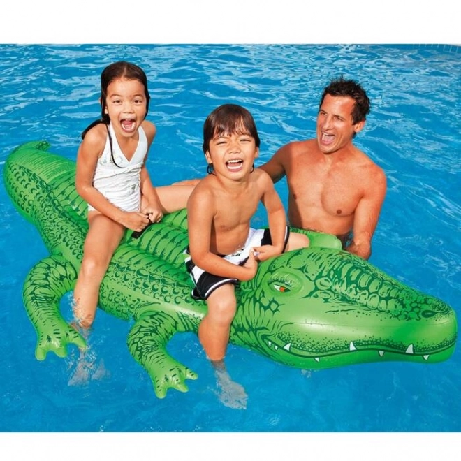 Vandkf8retf8j Alligator